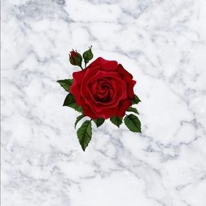 Meet your Posher, Alexzia